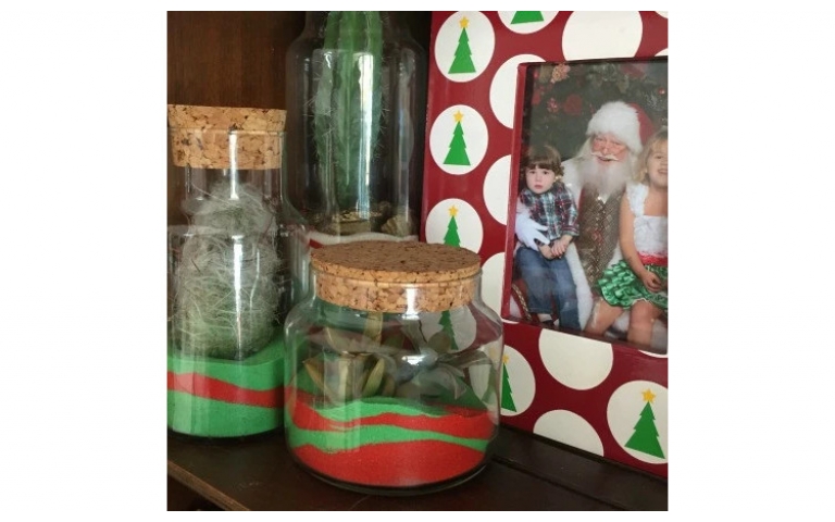 Christmas Cacti Sand Art Terrariums